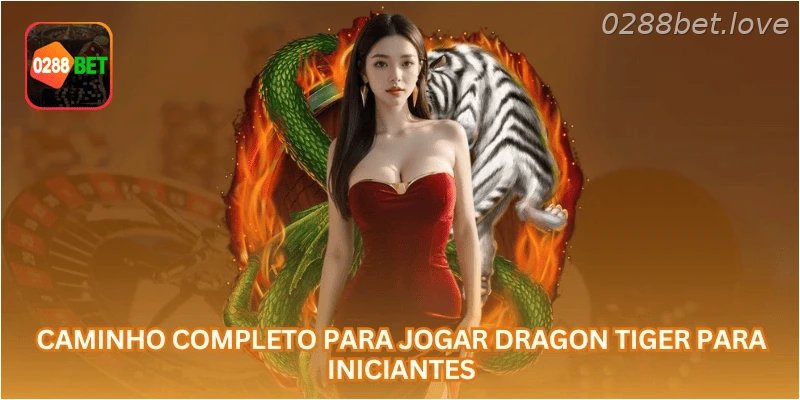 Caminho completo para jogar Dragon Tiger para iniciantes.